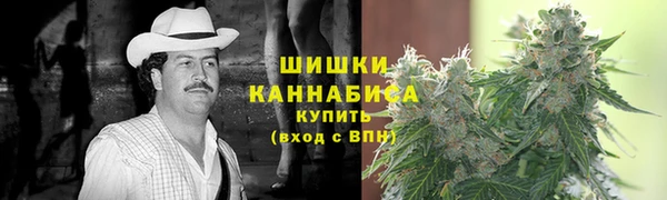 гашик Тутаев