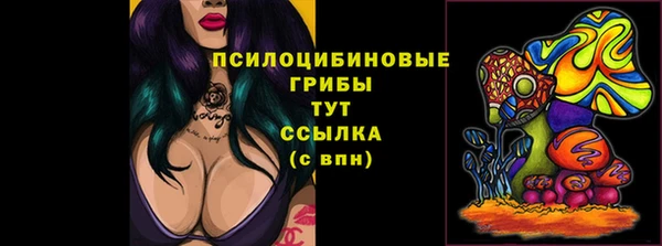стафф Нефтекумск