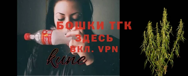 эйфоретик Тында