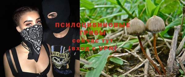 спиды Нефтегорск