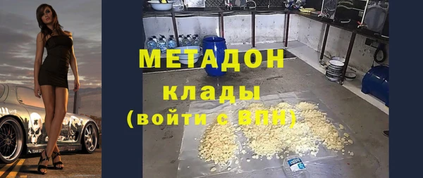 прущие грибы Апатиты