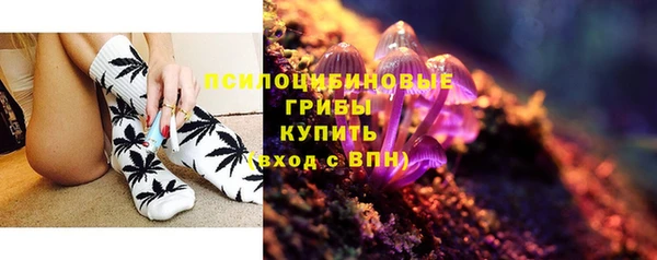стафф Нефтекумск