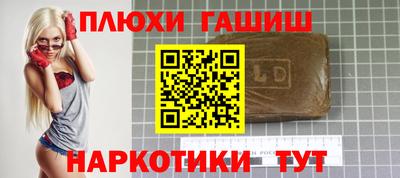 спиды Гай