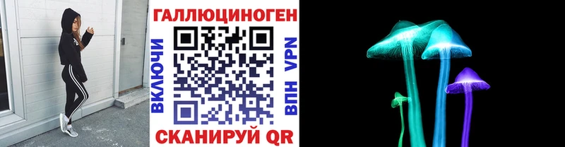 закладка  Губаха  Псилоцибиновые грибы Magic Shrooms 